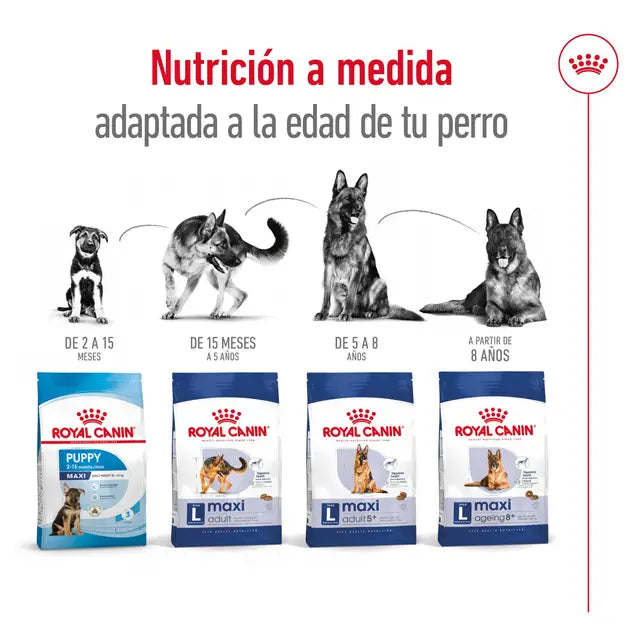 Royal Canin Razas maxi - Perro adulto 5 Years & older – 15 Kg
