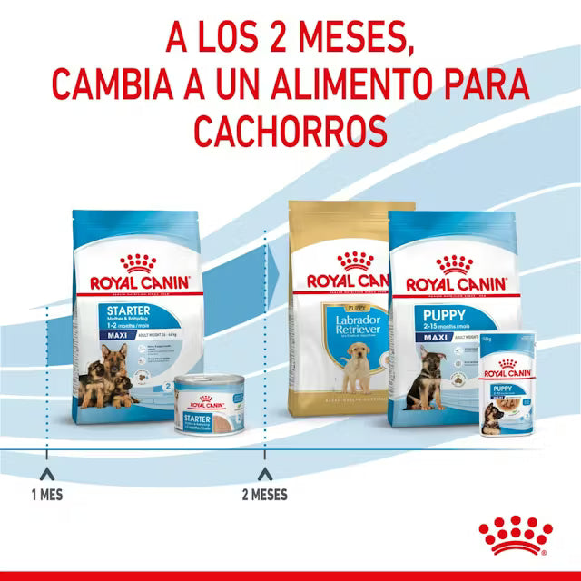 Royal Canin Starter mother & babydog - Razas maxi - 4.0 Kg