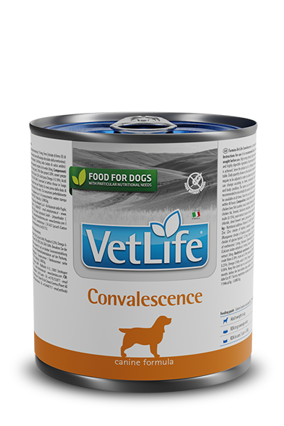 Farmina Vet life perro adulto - Convalescence - Alimento húmedo - 300Gr