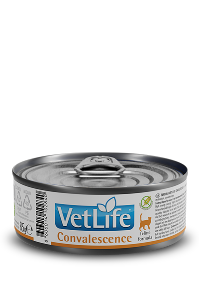 Farmina Vet life gato adulto - Convalescence - Alimento húmedo - 70.0 Gr