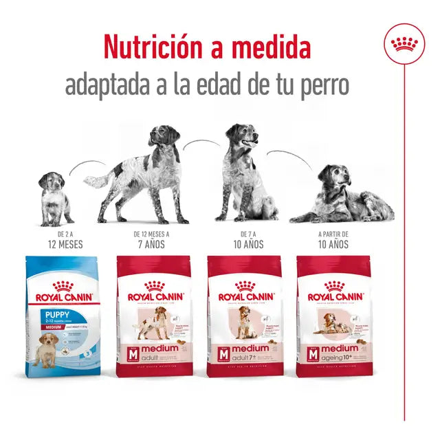 Royal Canin Medium - Cachorro - 4.0 Kg