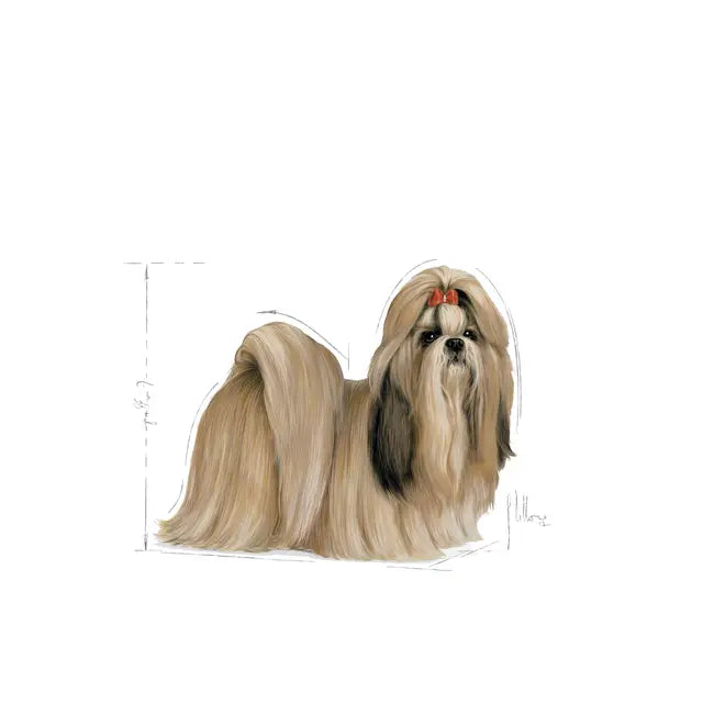 Royal Canin  Razas específicas - Shih Tzu - Adulto - 3.0 Kg