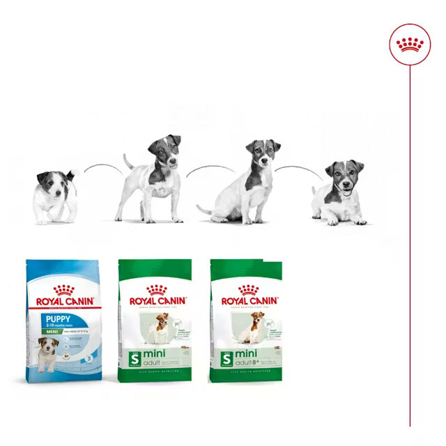 Royal Canin Razas mini – Cachorro - 4.0 Kg