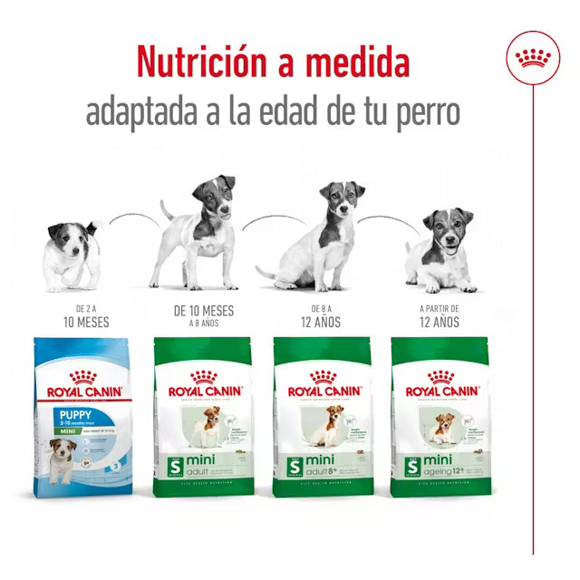 Royal Canin  Razas mini - Perro adulto 8+ Years & older – 2.0 Kg