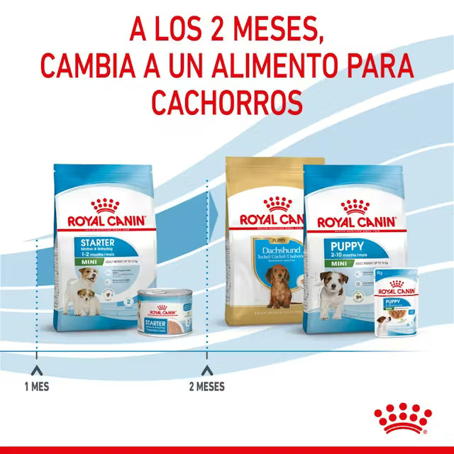 Royal Canin Starter mother & babydog - Razas mini - 4.0 Kg